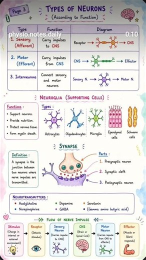 Easy Trick to Remember the Nervous System | Nursing Mnemonic