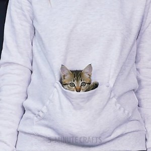 3.7M views · 10K reactions | DIY ideas to improve your pet’s life.  | 5-Minute Crafts GIRLY | Facebook