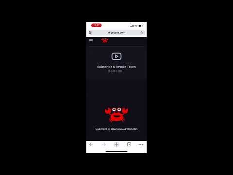 iOS苹果手机naiveproxy节点客户端设置