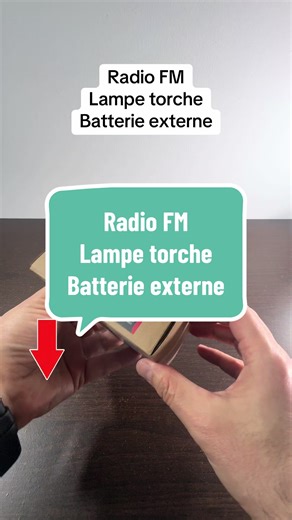 Appareil 3 en 1 : Radio FM, Lampe Torche et Batterie Externe