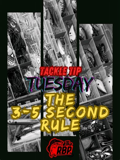 The biggest mistake I see anglers make with topwater is being too fast. You spend $20 on a lure, make a perfect cast, and then kill the bite before it even starts. ​When that bait hits the water, it’s an alarm bell. If you move it instantly, you’re spooking the giants. Give it 3 to 5 seconds. Let those ripples clear. Let that bass transition from