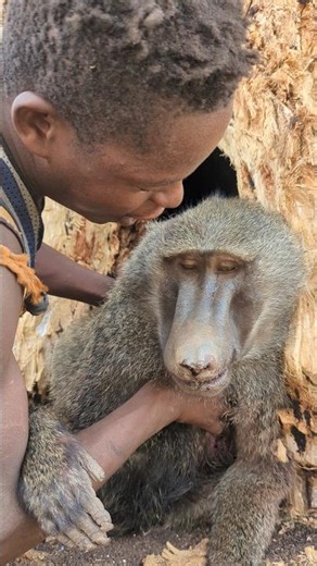 Laughing, hunting, and living the Hadzabe way! 😄🔥#hadzabeculture #africantraditions