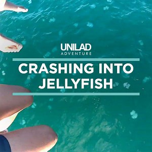 Hundreds of jellyfish were waiting for these guys as their parasailing adventure splashed down into the ocean 😳 | UNILAD Adventure