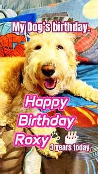 HAPPY BIRTHDAY ROXY! MY DOG’S 3RD BIRTHDAY! #HappyBirthday #Roxy #Dog #Goldendoodle #Dogvideos