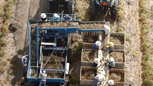 NFCTEST_2025_12_29_V2