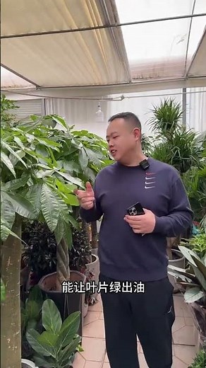 Quick & Easy Flower Gardening for Beginners