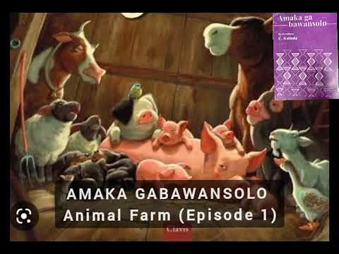 AMAKA GA BAWANSOLO (Animal farm) Episode 1