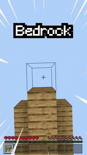 Minecraft Java vs Bedrock!