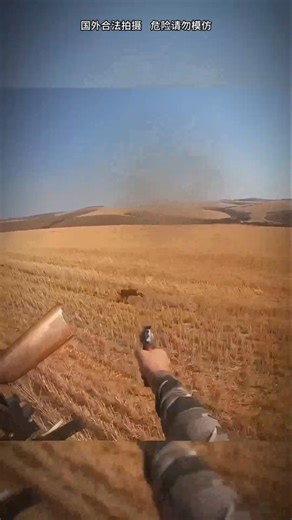 “Wild Boar on the Run — Epic Close-Range #boarhunting#wildboar#boarhunt