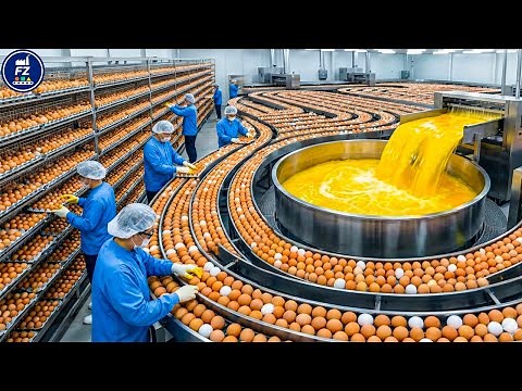 Inside a Mega Egg Processing Plant: How Millions of Eggs Are Washed, Candled & Packed (Full Process)