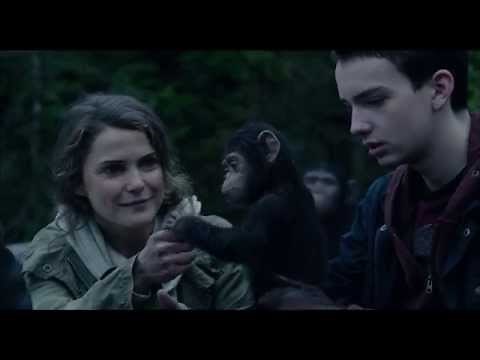 映画「猿の惑星：新世紀(ライジング)」特報Ⅱ（90秒）