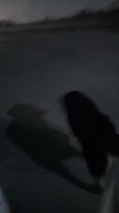 Perla M Velazquez on Reels