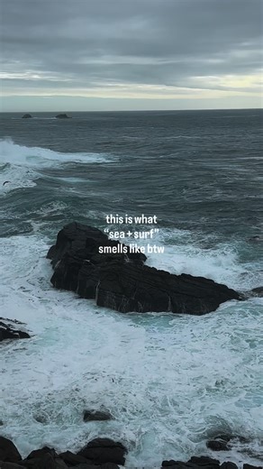 mentally, i’m always here 🌬️ pick up our sensational sea surf body wash, available at @walmart and @target 🌊 | method products