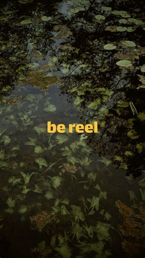 ‎دنـیـای سـبـز مـن‎ on Instagram‎: "می‌دونم که تو هم میخوای 💆🏻‍♀️🤌🏻 با فالو کردن ادمین شادش میکنیییی😭 استوریا رو که اصلا از دست ندهههه 🦦 ✩°｡ ⋆⸜ 🎧 follow for more @moodsta.r ✩°｡ ⋆⸜ 🎧 #اکسپلور #تکست #حس_خوب #سفر #مسافرت #fyp #explore #mood #travel #trip"‎