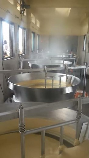 Khoya / Mava / Basundi / Khoa Making Machine