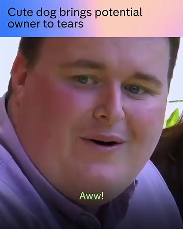 1.7M views · 3.7K reactions | Such a match made in heaven! | Channel 4 | Facebook