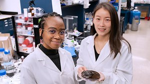 Solar-powered gel produces enough clean water to meet daily needs