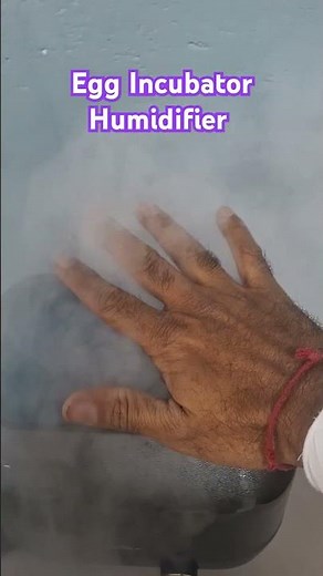 I Built an Egg Incubator with Humidifier Integration