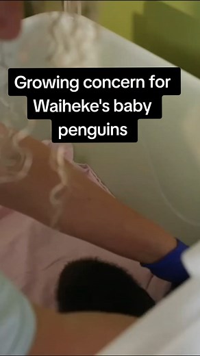 2.8K views | Checkpoint on Reels | Facebook