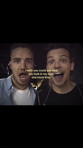One Direction's Emotional Moments: Louis and Liam Perform