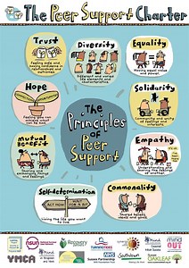 Peer Support Charter - NSUN website
