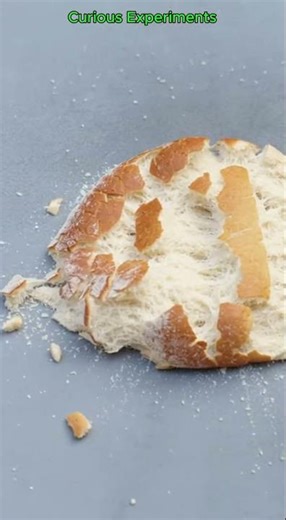 Dropping a bread, AI generated experiment #experiment #test #shorts