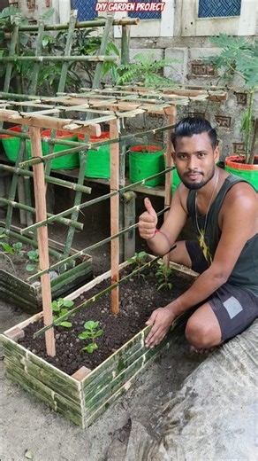 🏡 Amazing Bamboo Raised Bed with Trellis | Smart Space-Saving Garden Idea #shorts #gardening #diy