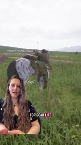 Taming Horses in The Legend of Khiimori: How to Tame Your First Mount
