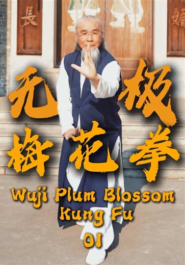 Wuji Plum Blossom Fist 👊 Strike First.Strike Hard. 无极梅花拳，先发制人，重拳出击 #chinesemartialarts #kungfu #chinesekungfu #fighttraining #fitness
