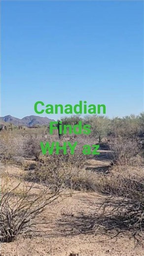 Canadian discovers WHY in Arizona desert .Have you been to Why Az?