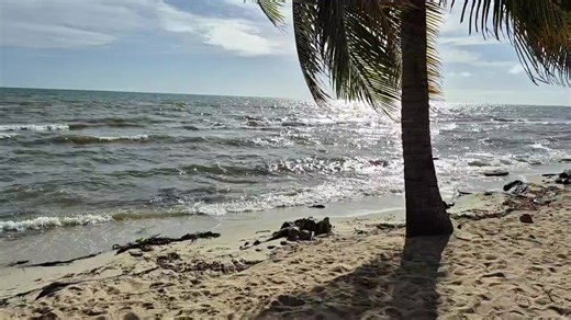 🕊Mass of Thanksgiving for the life of SERGEANT CLAUDE LINCOLN MARTINEZ🕊 December 7th, 1974💔 December 29, 2025 at St. Alphonsus R.C. Church, Seine Bight Village #wedonotownthemusicrights | Paulino's Funeral Home