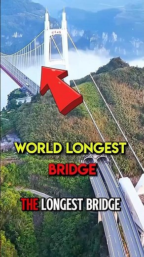 The Longest Bridge on Earth Is in China! 🧐