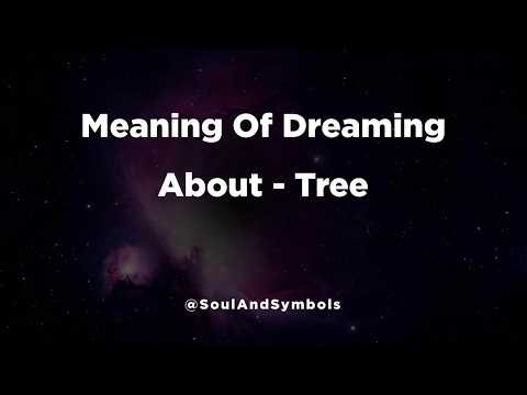 Meaning Of Dreaming About Tree 🌙🔍