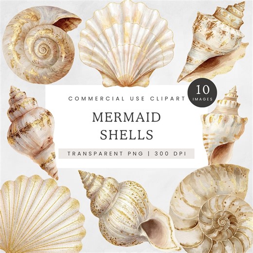 Mermaid Shell Clipart, Seashell PNG Set With Gold Accents, Ocean Fantasy Digital Art, Transparent Shell Graphics for Junk Journal and Craft - Etsy