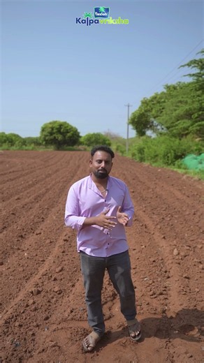 Maintaining the Right Soil pH for Healthy Crops