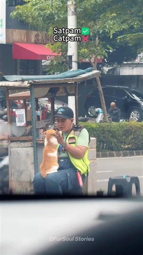 The best moments are the simplest ones.#cat #streetcats #wholesome #bestmoments #catlovers #fyp