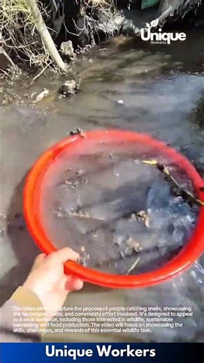 Wildlife for beginners: a simple guide to snail wildlife