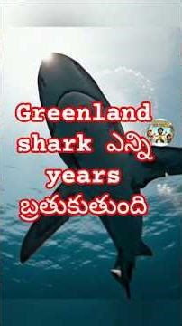 Hoffman's Two-toed Sloth: అద్భుతమైన Rare Facts | Wildlife Facts in telugu #telugufacts elugu facts