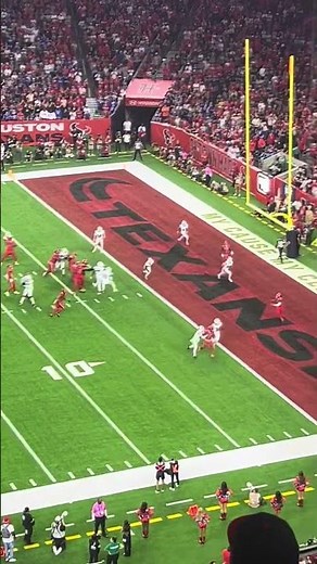 NRG Stadium goes wild as the Texas score a TD