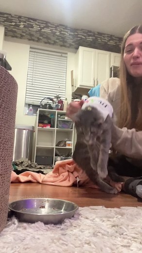 When My Cat Tries on Clothes for the First Time