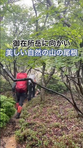 絶景すぎる日本の自然! 🏔️✨ #御在所岳 #日帰り登山 #滋賀 #travel #shorts