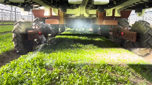 Growers in 7 countries are now using our smallest unit, the LaserWeeder G2 200-T, to laser weed a variety of crops — including those grown in high tunnels, greenhouses, and open-field environments. | Carbon Robotics LaserWeeder