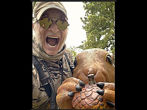 David Lee Roth - Just Like Paradise...