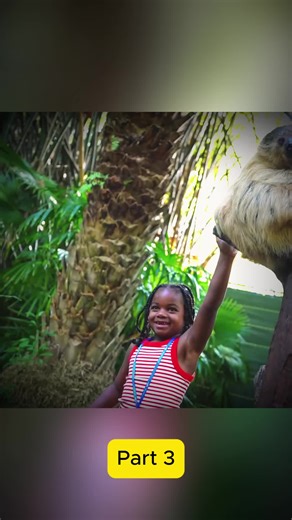 Part 3 SWIMMING IN SHARK INFESTED WATERS! #AYLA #DAMIEN #vlogs #pranks #challenges #NOVA #DJKYRIE #reactions #somuchmore #food #gameviral #theprincefamilyclubhouse #fyp #due #STRANGER #Ep #skitsforyou #theprincefamily