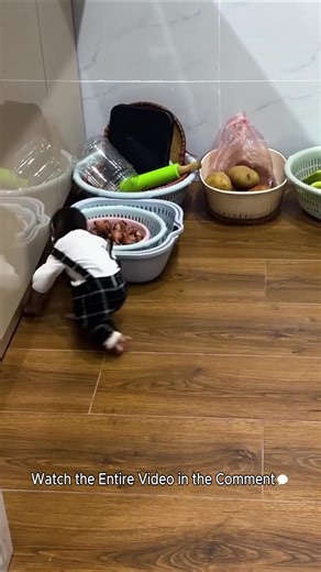 Lala goes to the kitchen to get the items ready and asks Mom to cook outside! | KaKa Famliy