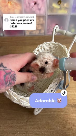 Silicone Baby Pig Toy Mini Piglet - Adorable Mini Pig de Silicona