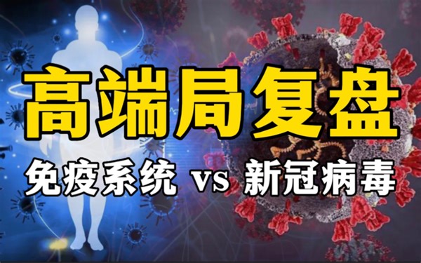 免疫系统到底有多强？从病毒入侵到完全恢复，一个视频，看懂免疫系统大战新冠病毒全过程