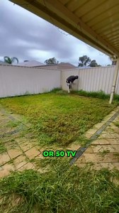 I know... Lawn mowing for $30? That sounds insane. You must be the cheapest in town... Right? Wrong. When pricing lawn care, there's more to it than just pushing a mower. It depends on the size of the yard, the layout, how overgrown it is, and how often it needs attention. Here’s the truth… There’s a fair price. And then there’s pricing so dirt cheap you’ve gotta wonder how some of these other guys stay in business. My name’s Darrin and I own A1 Day1 Lawn Care. Here’s how I run things: First off