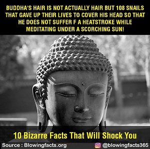 1.2M views · 1.3K reactions | 10 Bizarre Facts That Will Shock You | Facts that will blow your mind | Facebook