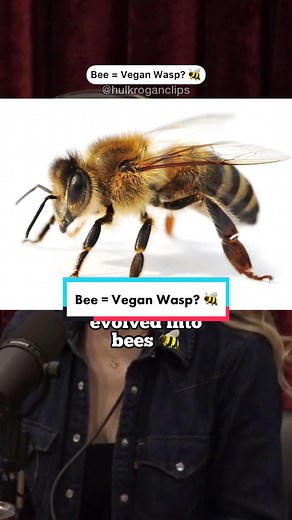 The Evolution of Bees: From Wasp Predators to Pollen Gatherers